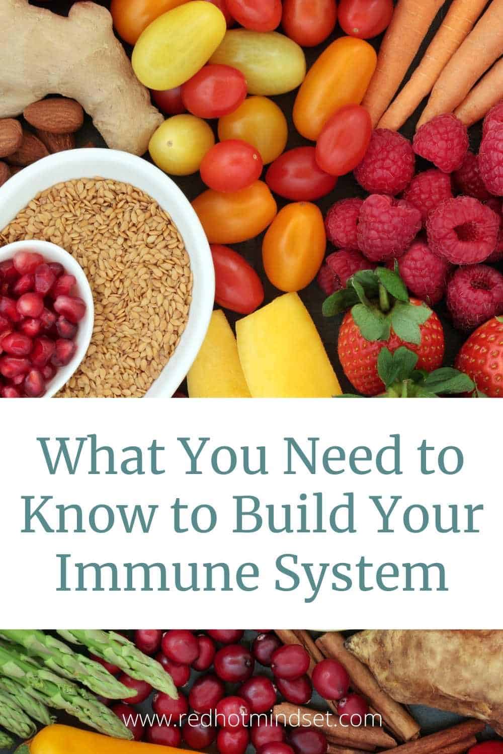 What You Need to Know to Build Your Immune System