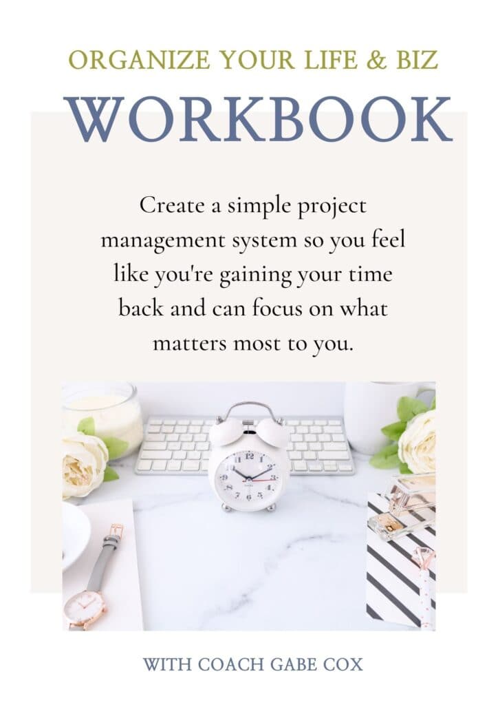 Organize your biz life workbook cover