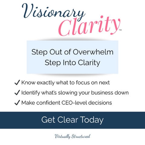 Cover graphic for a VIP bonus offer from Christy Beard for the Visionary Clarity Program